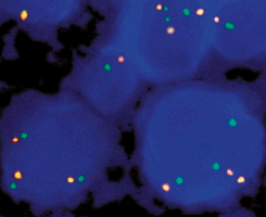 eFISH VHL/CEN 3 Dual Color Probe