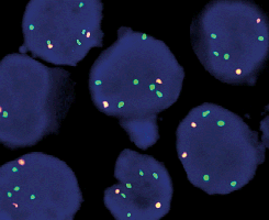 eFISH PIK3CA/CEN 3 Dual Color Probe