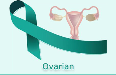 Ovarian Tumor Panel for IHC Tumor Diagnosis