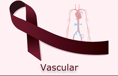 Vascular Tumor Panel for IHC Tumor Diagnosis