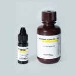 Anti-Rabbit One Step Poly HRP