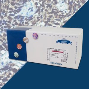 AP IHC Detection Kit for Immunohistochemistry Detection